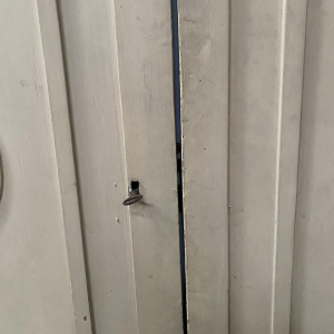 Paire de portes simple face à panneaux moulurés en sapin massif, XIX siècle