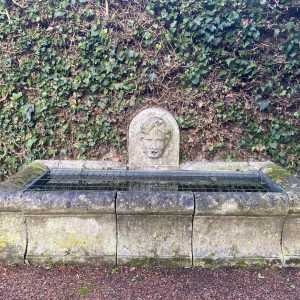 Grote, oude stenen buitenbak die dienstdoet als fontein, circa 1900.