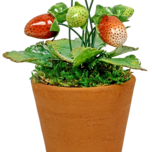 Didier Gardillou "Aardbeiplant", hyperrealistisch stilleven in porselein, trompe-l'oeil fruit, 21e eeuw