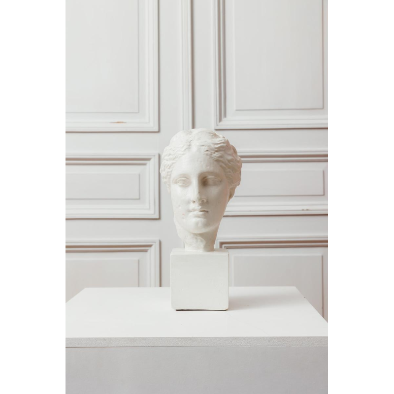 Female bust, reproduction of the head of Hygieia in plaster