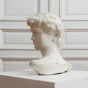 Klassiek geïnspireerde gipsen buste van David
