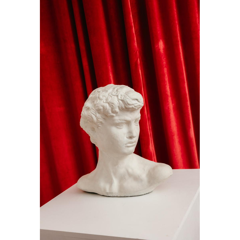Klassiek geïnspireerde gipsen buste van David