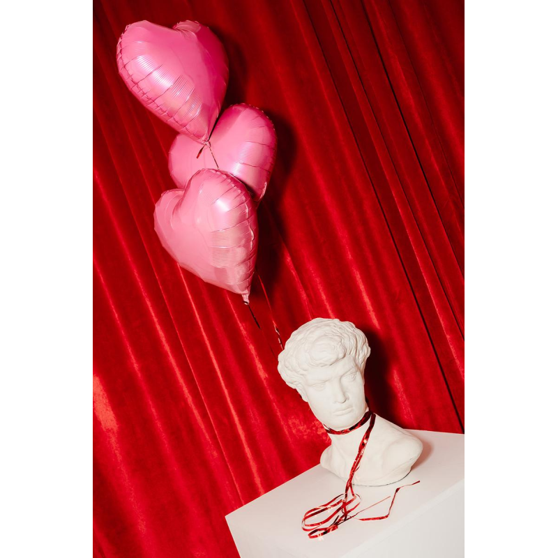 Klassiek geïnspireerde gipsen buste van David