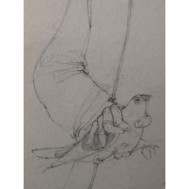 Jean-Pierre FÉLIX “The Pigeon Fancier” drawing on paper, 20th century