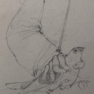 Jean-Pierre Félix, "De duivenliefhebber", tekening op papier, 20e eeuw.