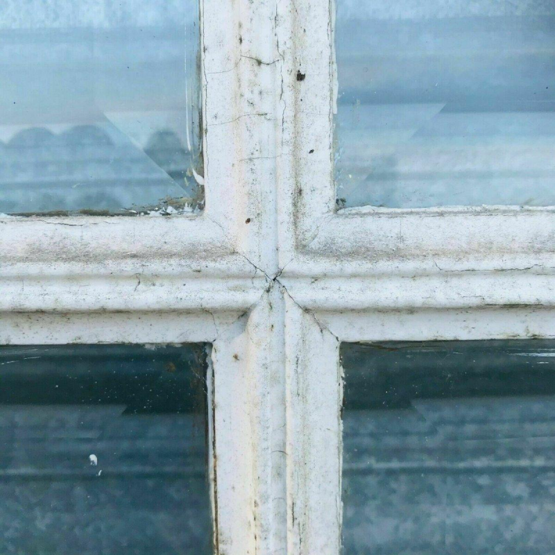 Set of 4 glazed doors, divided into four panels with beveled panes, early 20th century